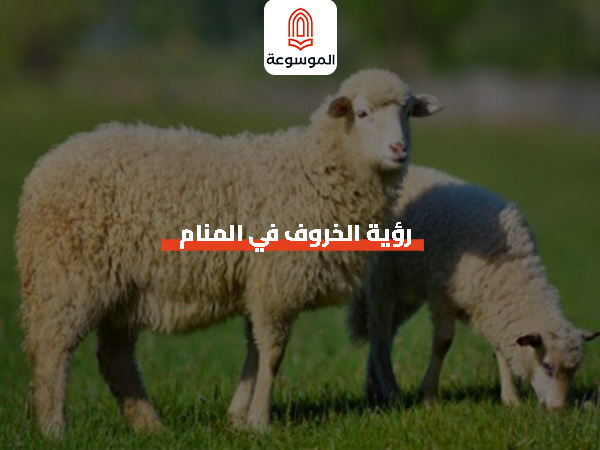 رؤية الخروف في المنام