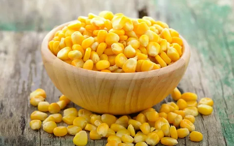 الذرة كمصدر للطاقة والنشاط