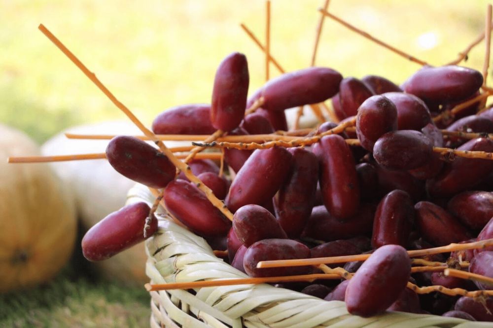 أهمية البلح الأحمر للمرأة الحامل