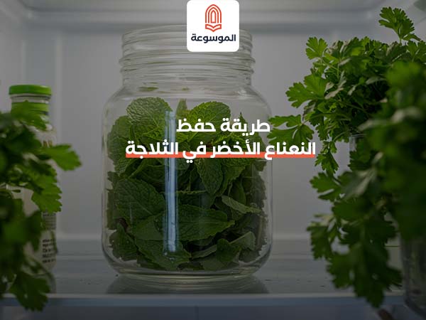 طريقة حفظ النعناع الأخضر في الثلاجة