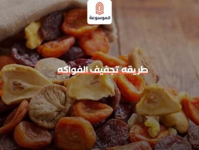 طريقه تجفيف الفواكه