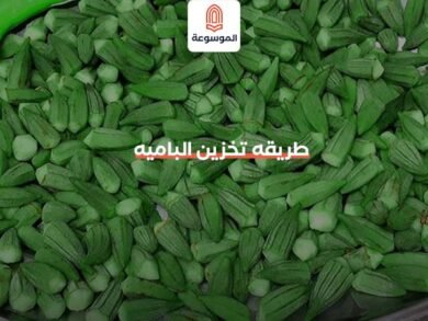 طريقه تخزين الباميه