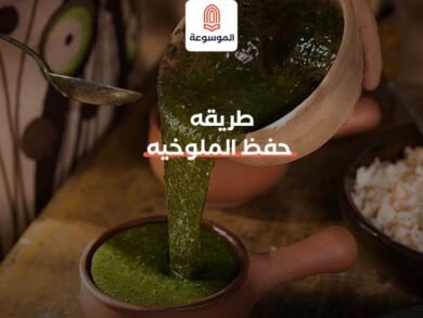 طريقه حفظ الملوخيه الخضراء