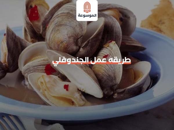 طريقه عمل الجندوفلي