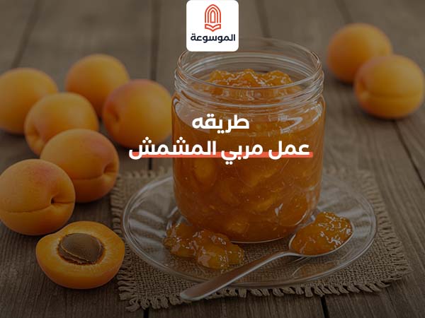 طريقه عمل مربي المشمش
