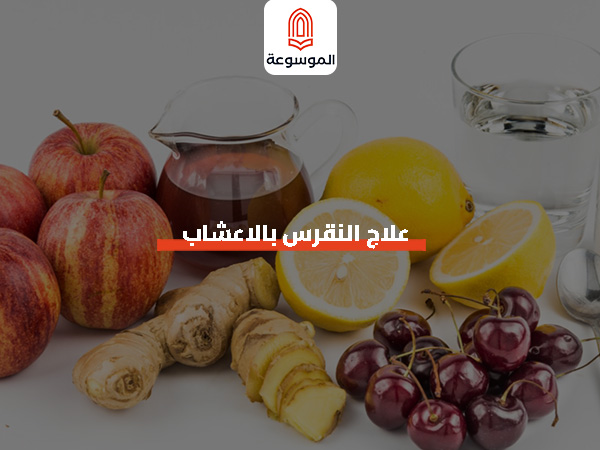 علاج النقرس بالاعشاب