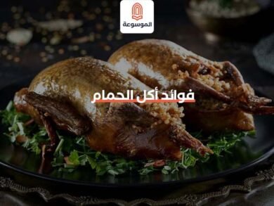 فوائد أكل الحمام