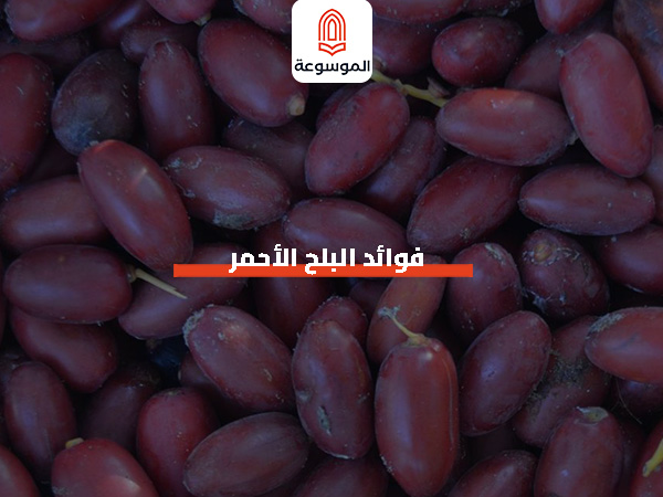 فوائد البلح الأحمر