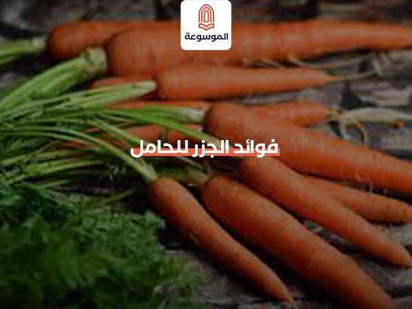 فوائد الجزر للحامل