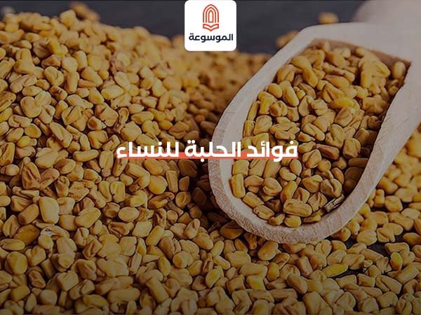 فوائد الحلبة للنساء