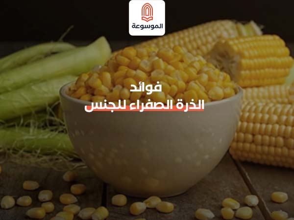 فوائد الذرة الصفراء للجنس