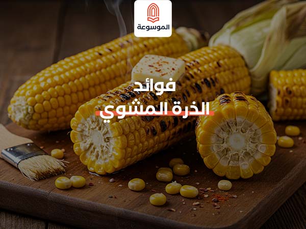 فوائد الذرة المشوي