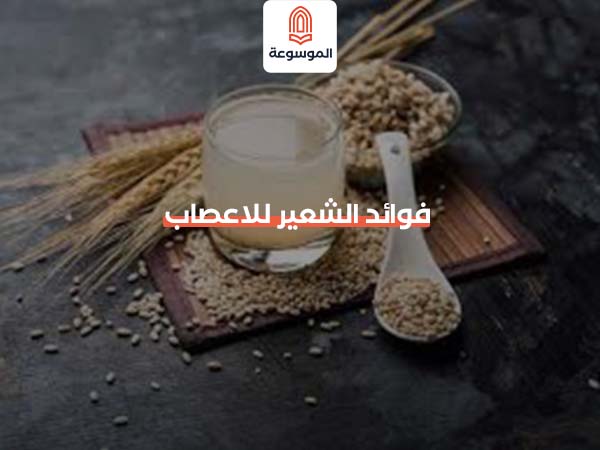 فوائد الشعير للاعصاب