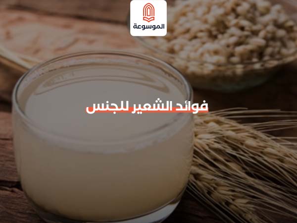 فوائد الشعير للجنس