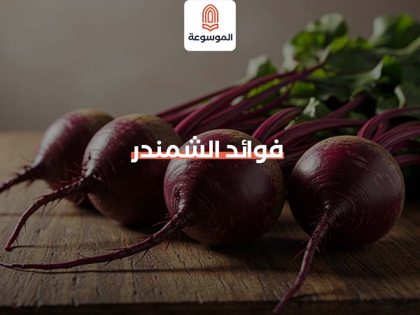 فوائد الشمندر