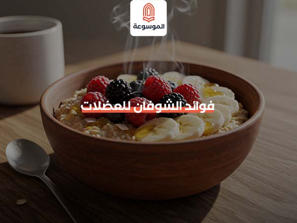 فوائد الشوفان للعضلات