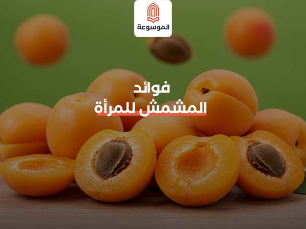 فوائد المشمش للمرأة