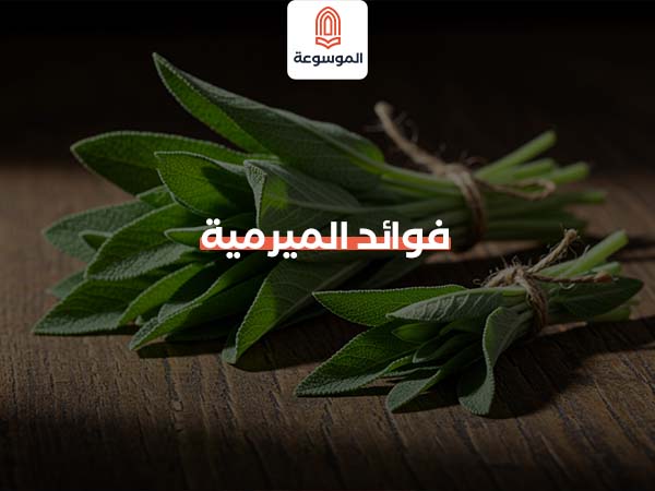 فوائد المرمرية