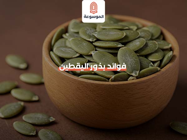 فوائد بذور اليقطين