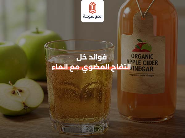 فوائد خل التفاح العضوي مع الماء