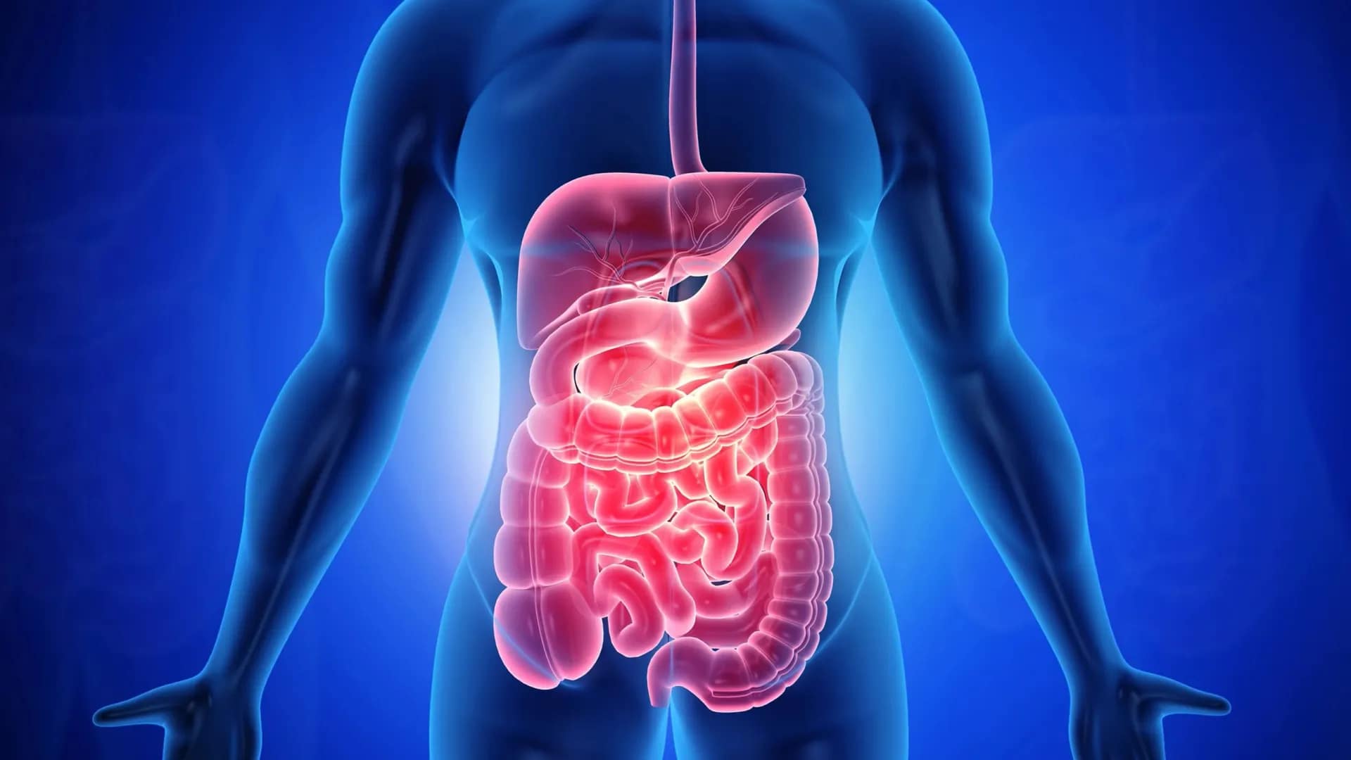 كيفية استخدام العسل الملكي في النظام الغذائي