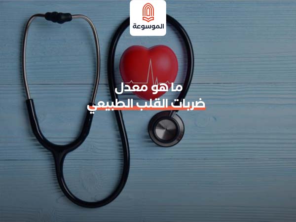 ما هو معدل ضربات القلب الطبيعي للإنسان؟