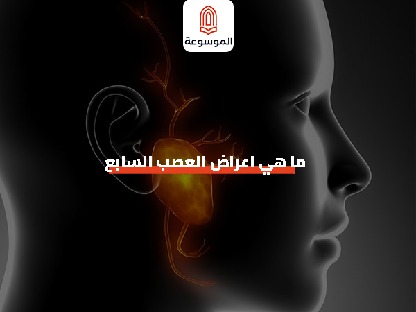 ما هي اعراض العصب السابع