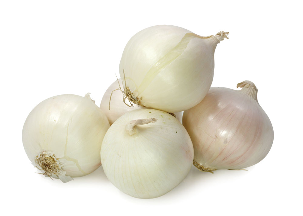 هل يمكن أن يسبب البصل الأبيض حساسية؟