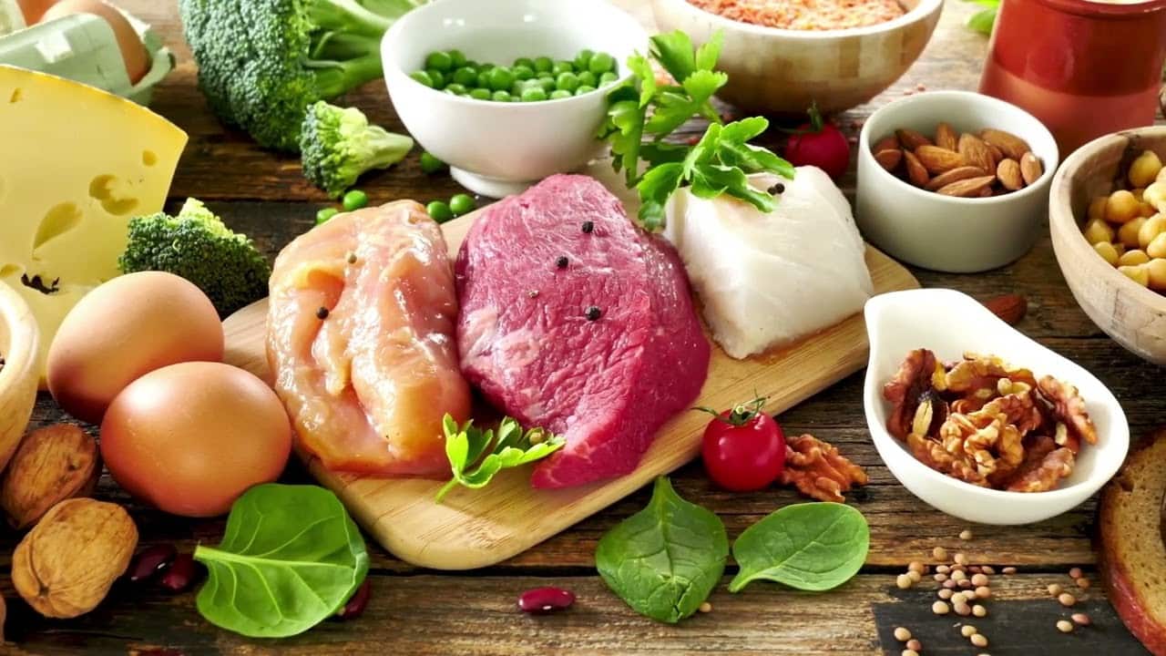 أهمية البروتين في النظام الغذائي