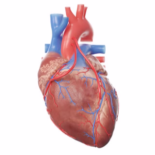 طرق الوقاية من مشاكل الشريان التاجي