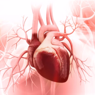 أهمية الرياضة لصحة الشريان التاجي