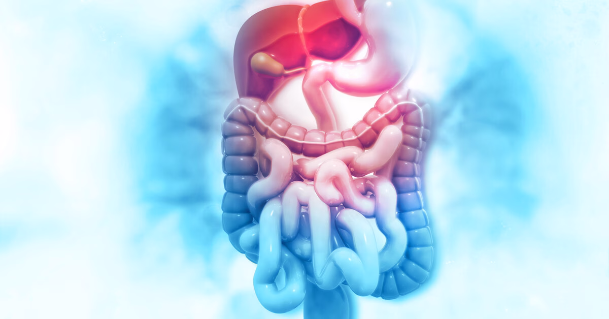 الإنزيمات ودورها في الهضم