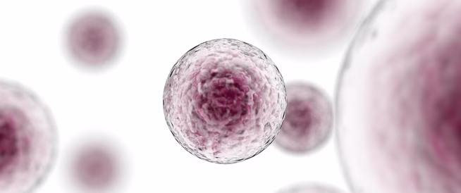 كيف يمكن الحفاظ على صحة الخلايا؟