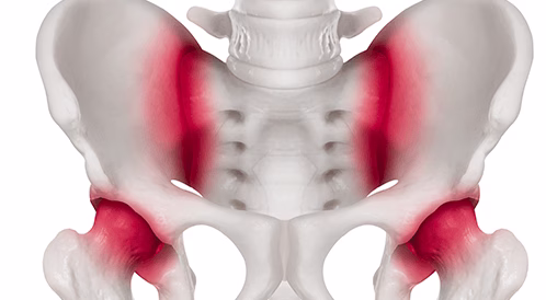 اكبر عظمه في جسم الانسان