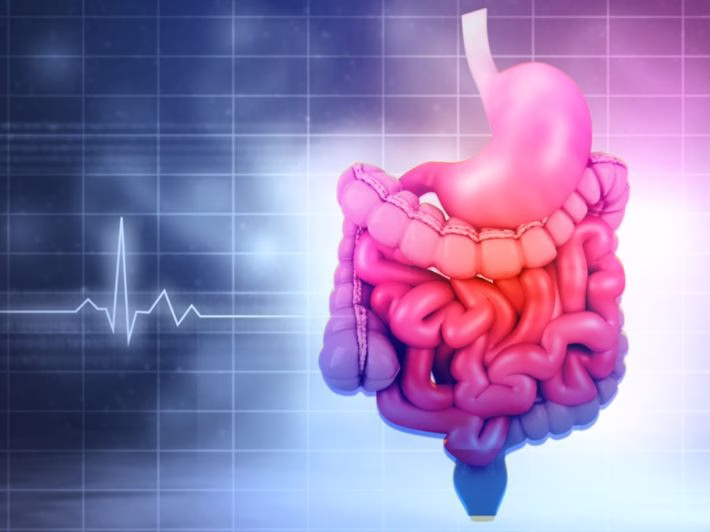 أهمية الهضم لصحة الجسم