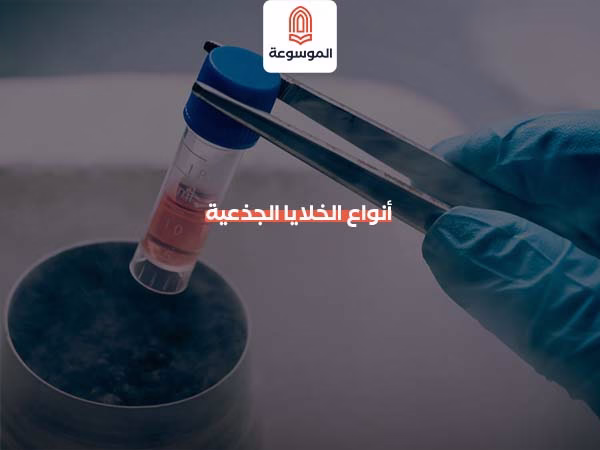 أنواع الخلايا الجذعية