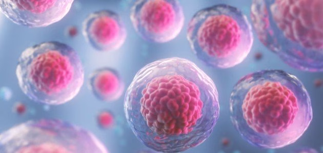 أنواع الخلايا في جسم الإنسان