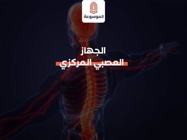 الجهاز العصبي المركزي