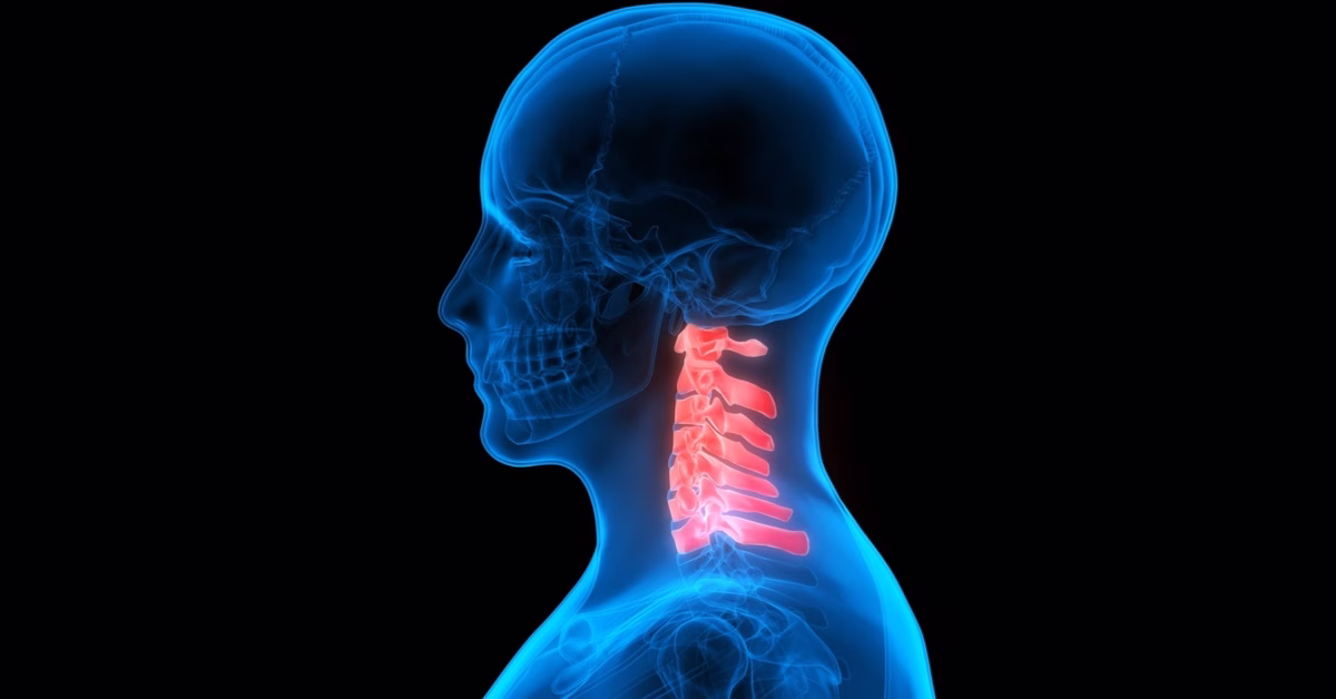 عدد الفقرات العنقية