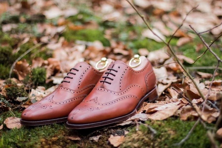 تفسير حلم فقدان الحذاء للرجل