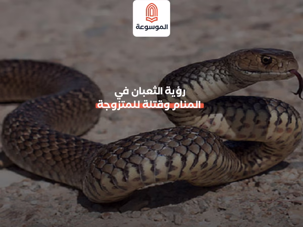 رؤية الثعبان في المنام وقتلة للمتزوجة