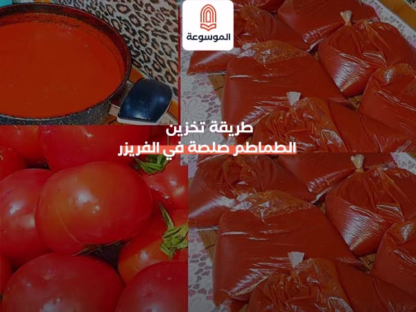 طريقة تخزين الطماطم صلصة في الفريزر
