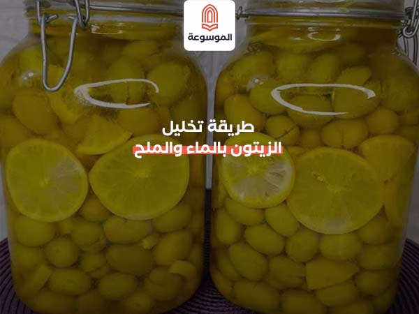 طريقة تخليل الزيتون بالماء والملح