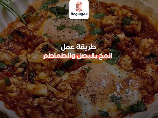 طريقة عمل المخ بالبصل والطماطم