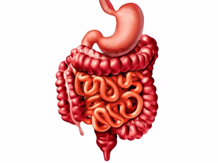 طرق الحفاظ على صحة الأمعاء الغليظة