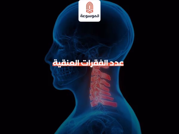 عدد الفقرات العنقية