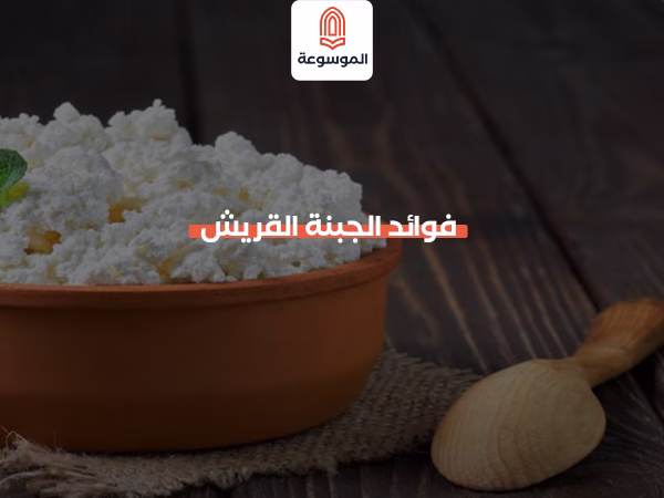 فوائد الجبنة القريش