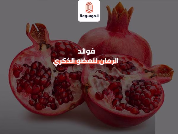 فوائد الرمان للعضو الذكري