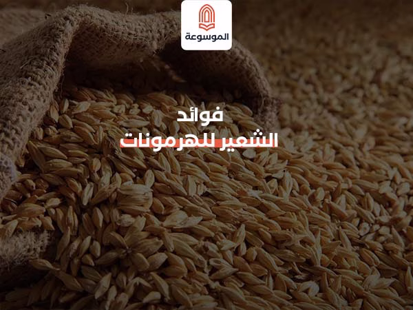 فوائد الشعير للهرمونات