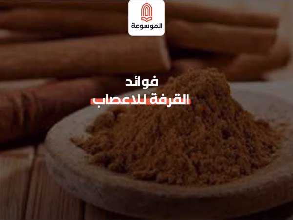 فوائد القرفة للاعصاب